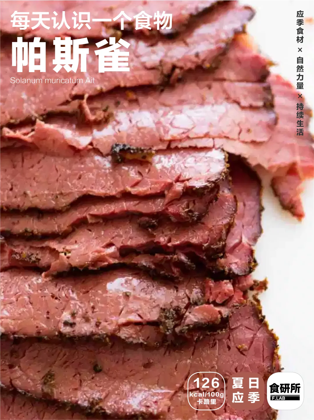 啥是帕斯雀？