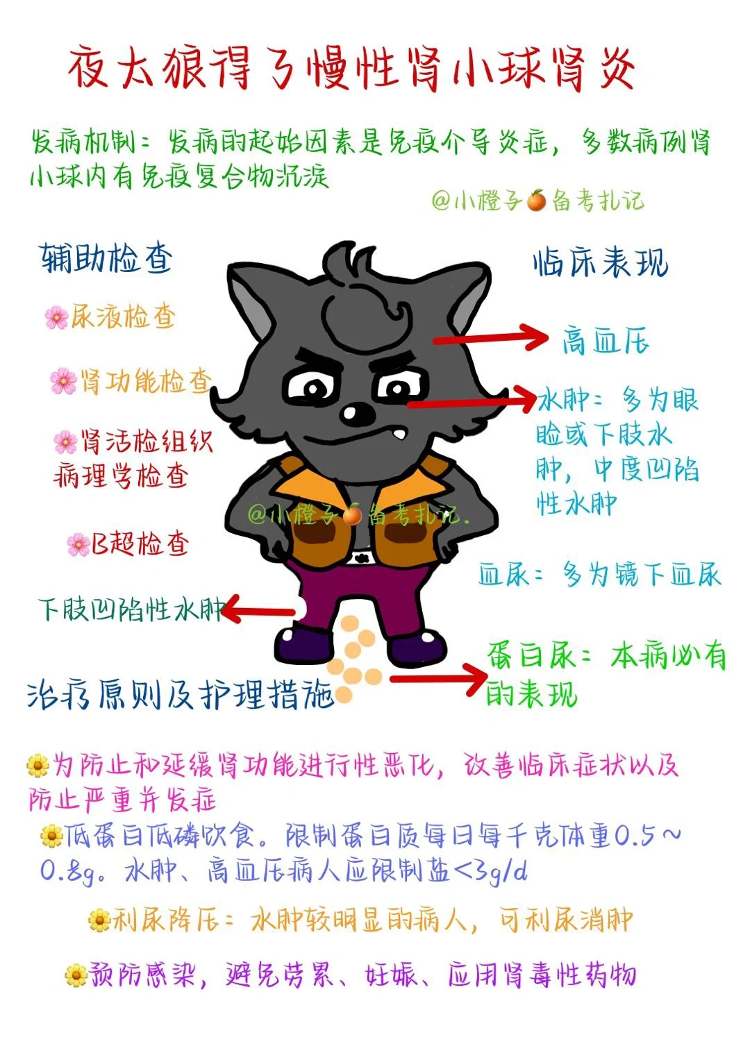 📖护师笔记｜内科护理学｜慢性肾小球肾炎😫