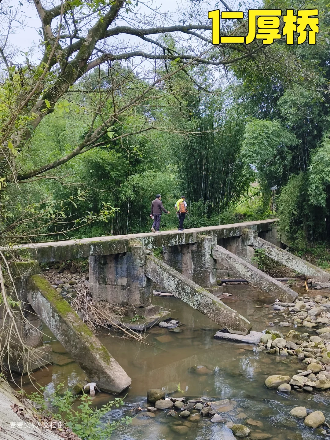 【巴南】藏在竹林溪涧的清代古桥~仁厚桥