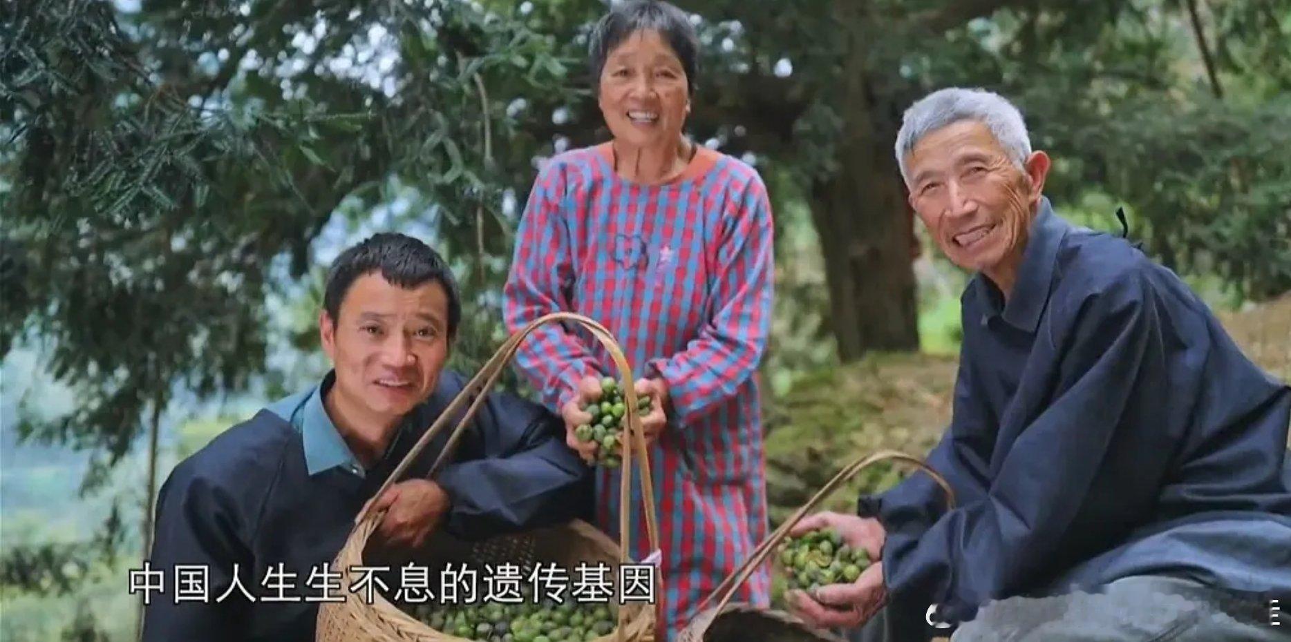 #百度网盘[超话]##舌尖上的中国##央视纪录片# 
【纪录片】舌尖上的中国 1-4季
跨越四季，感受地道华夏烟火滋味。
《舌尖上的中国》是央视推出的大型中华美食人文纪录片全系列。影片走遍中国大江南北，扎根乡土市井与日常餐桌，系统记录各地特色食材、传统烹饪技法、民间饮食手艺与地域饮食风貌。系列始 ​