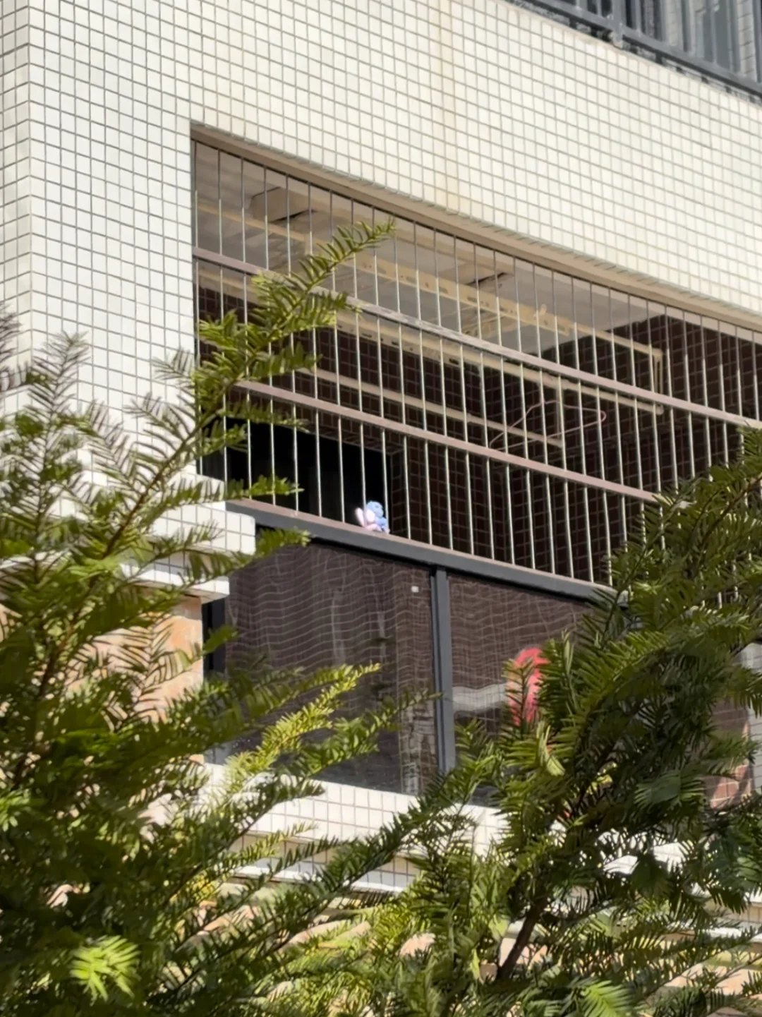 无奖竞猜 谁在阳台晒太阳