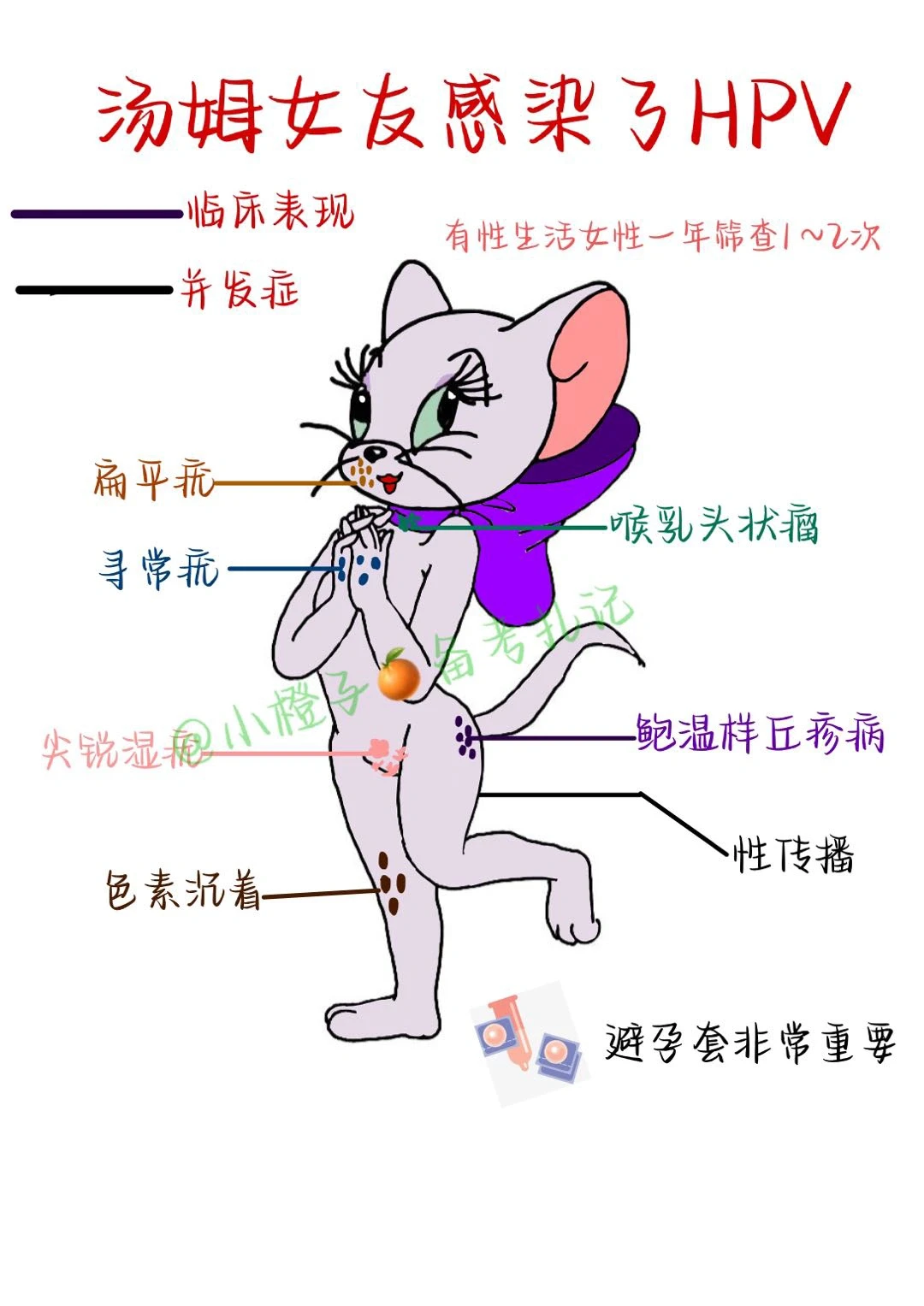 📖护师笔记｜妇产科护理学｜HPV🧐