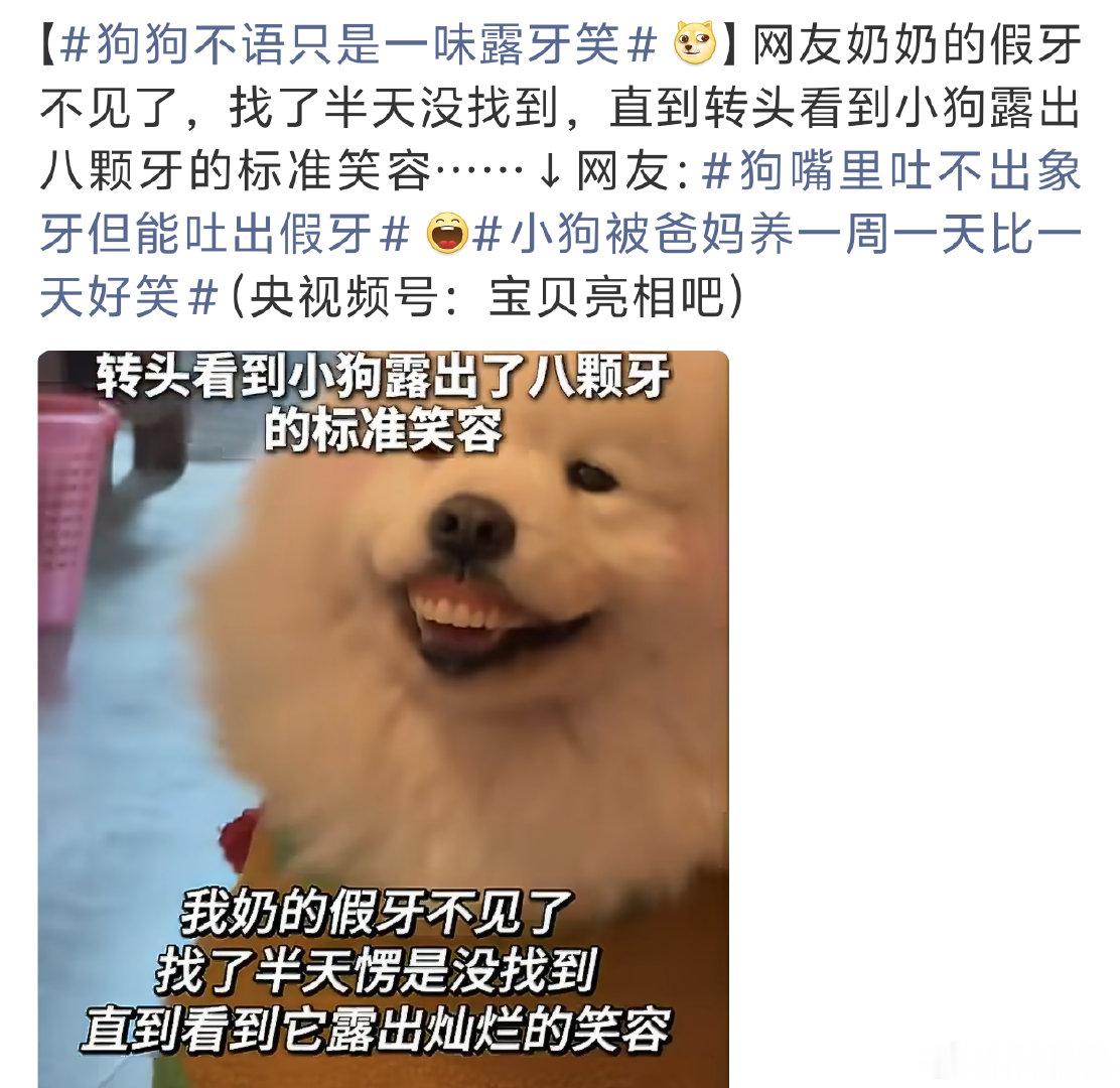 #奶奶假牙不见小狗露八颗牙#
这狗狗看起来还挺欢乐的样子[黄鸡大笑] ​