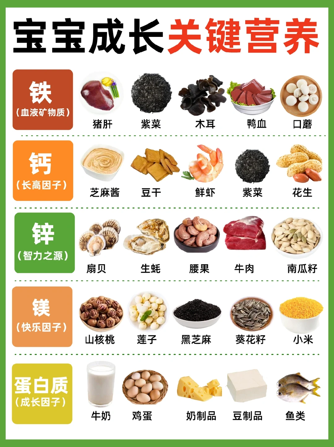 饭渣宝宝👶营养救星！再也不焦虑了‼️