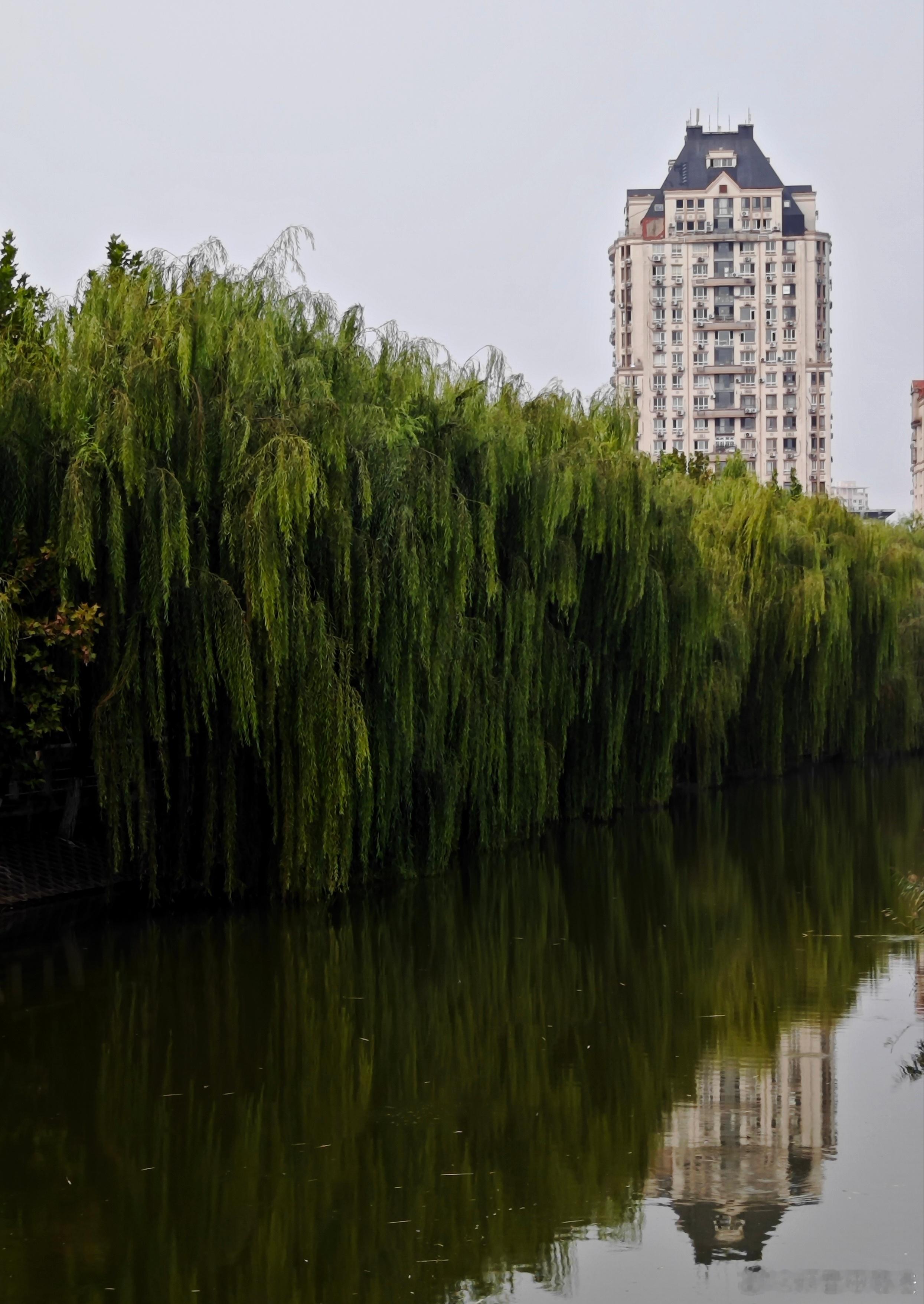 天津[超话] 天津二宫公园秋景（颜春来随手拍） ​​​