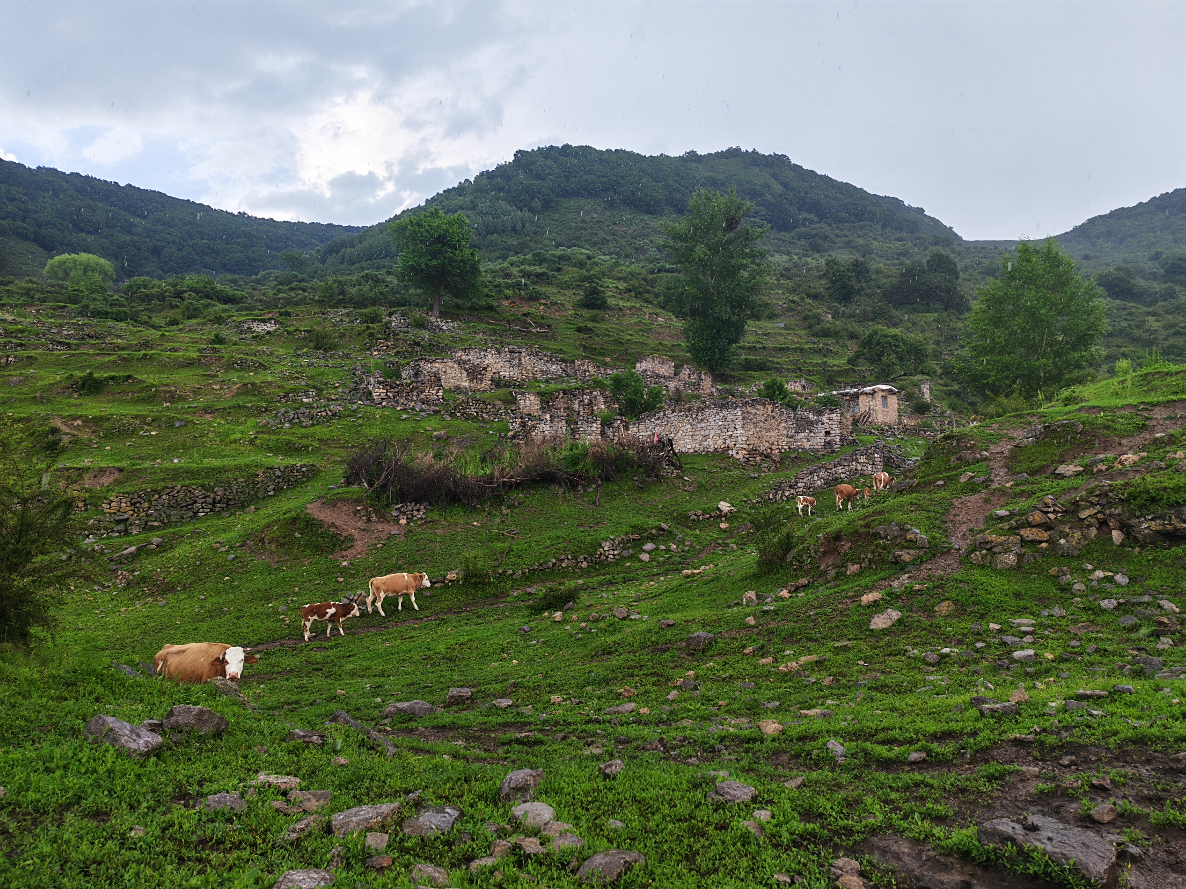 和顺·阔地村‖进山，出山，下一座山见！  ​​​
