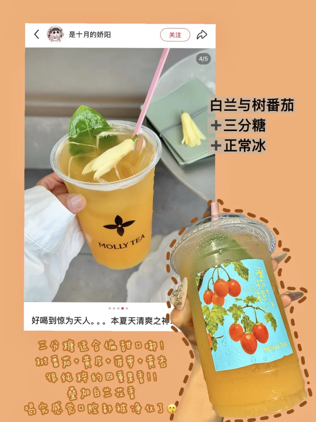 茉莉奶白我保证你是树番茄创世主。。。
