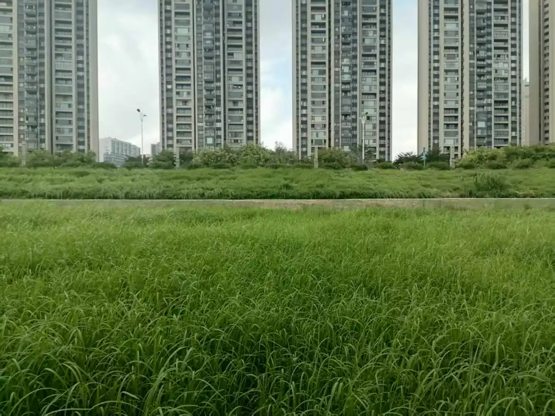 佛山一上市企业拟终止部分募投项目