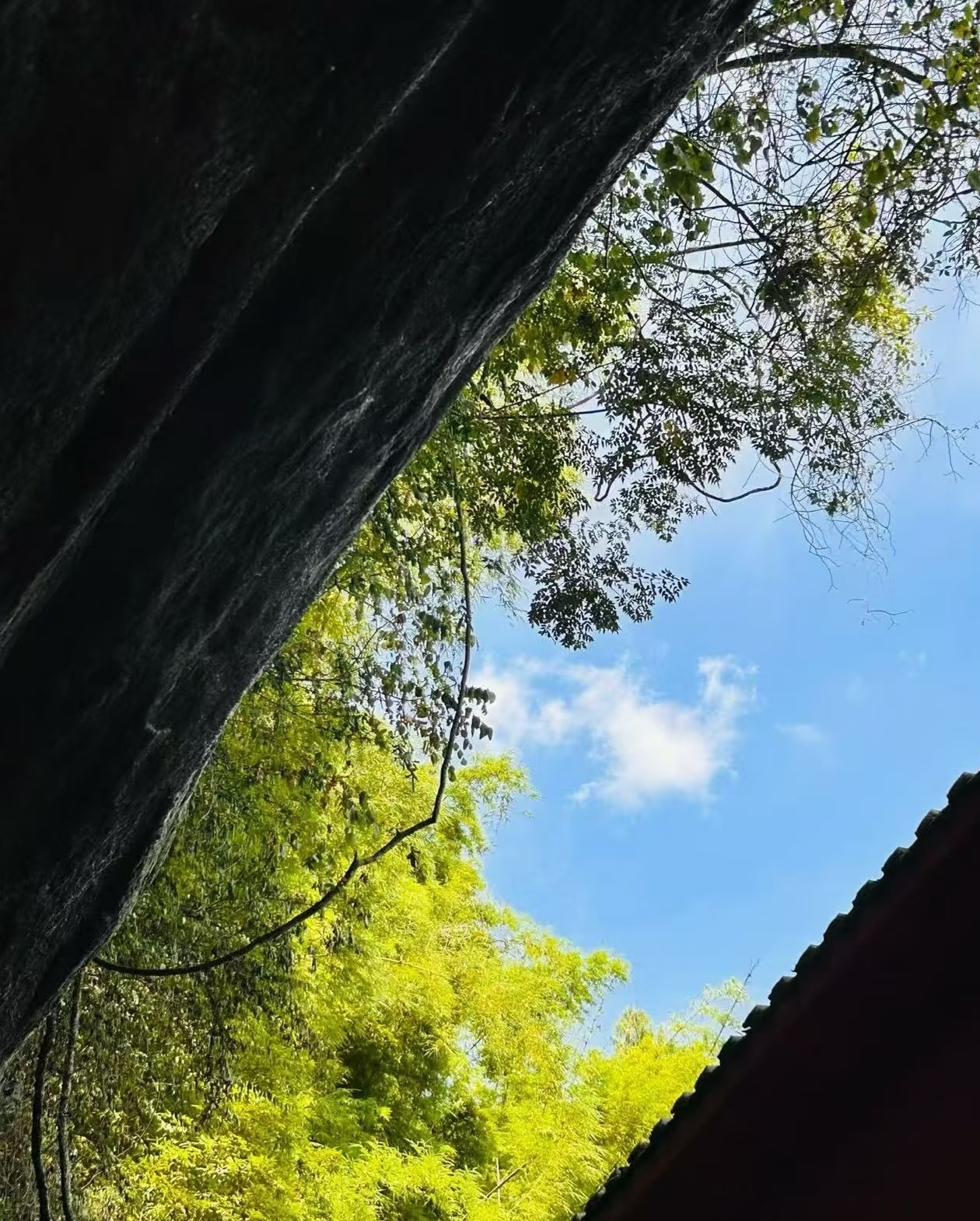 陈道明说得太通透：
&34;没有亲人，你能活；
没有朋友，你能活；
就算一个人，你也能好好活。

可唯独一样东西，
缺了它，纵有凌云志，也难迈半步；
纵有千般情，也难守周全，
那就是能力。&34;

这话听着有点冷，好像在说人到最后只能靠自己，亲情友情全靠不住。

可你静下心来品，它戳破的是另一层：你能护住多少