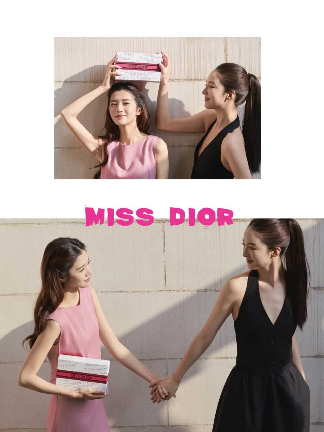 𝗕𝗲𝘀𝘁𝗶𝗲 𝘃𝗶𝗯𝗲𝘀 𝗼𝗻𝗹𝘆