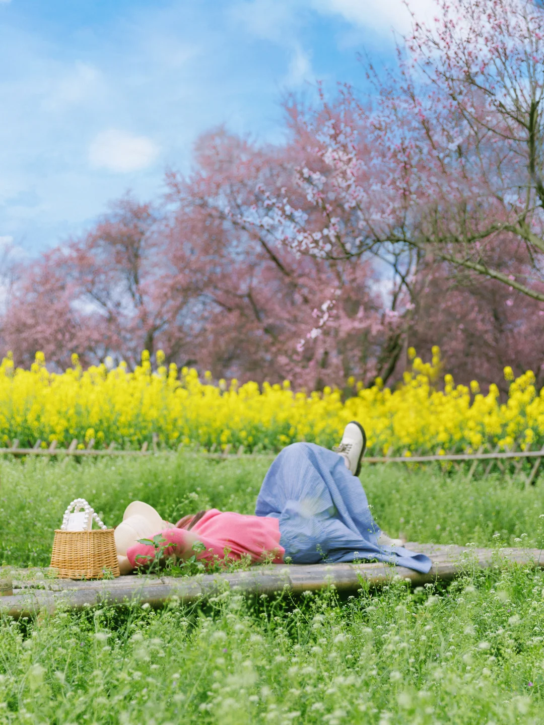 别找了❗❗成都赏花🌸野餐一日游天花板