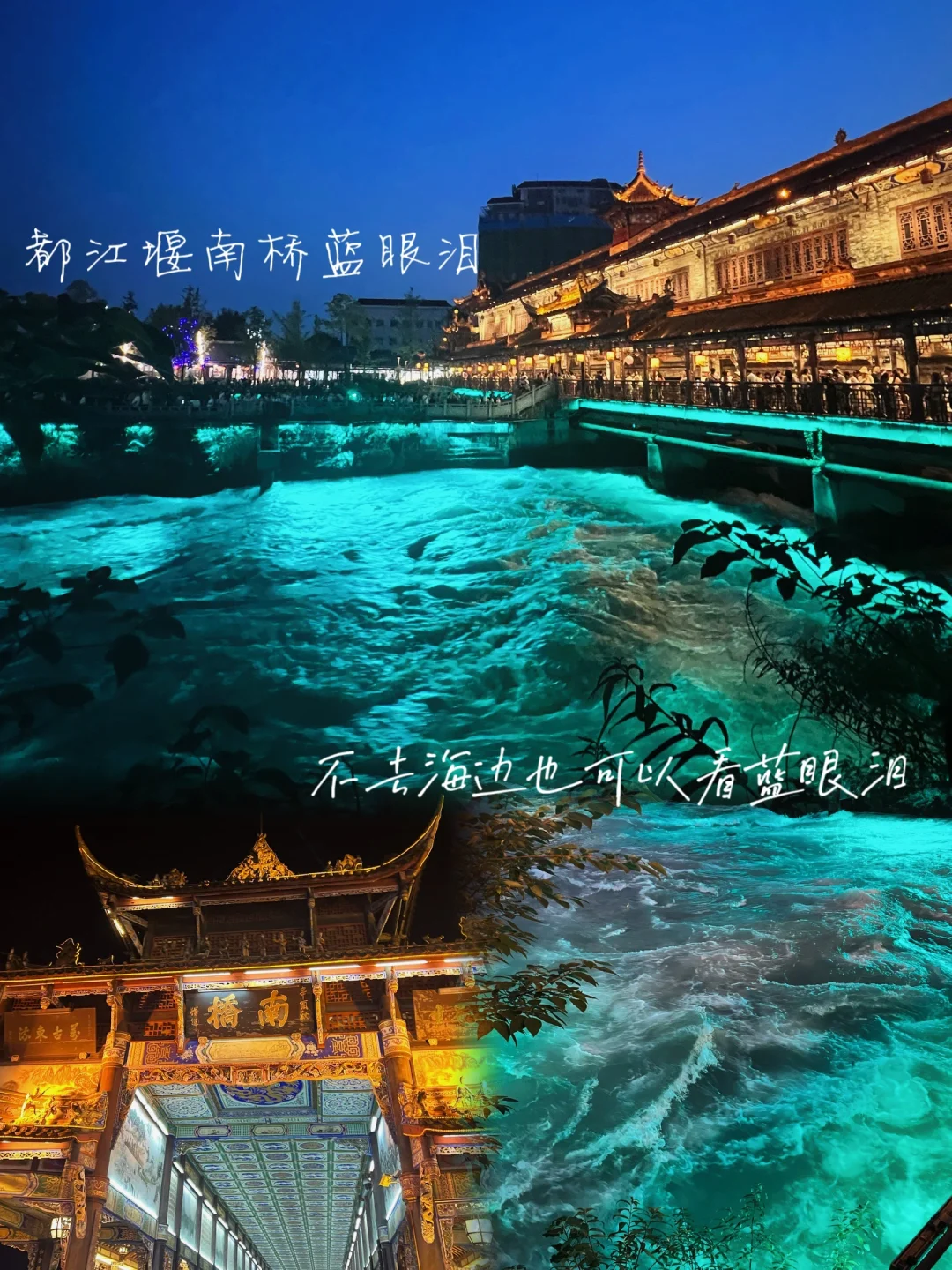 成都自驾都江堰一日游‼️南桥看蓝眼泪