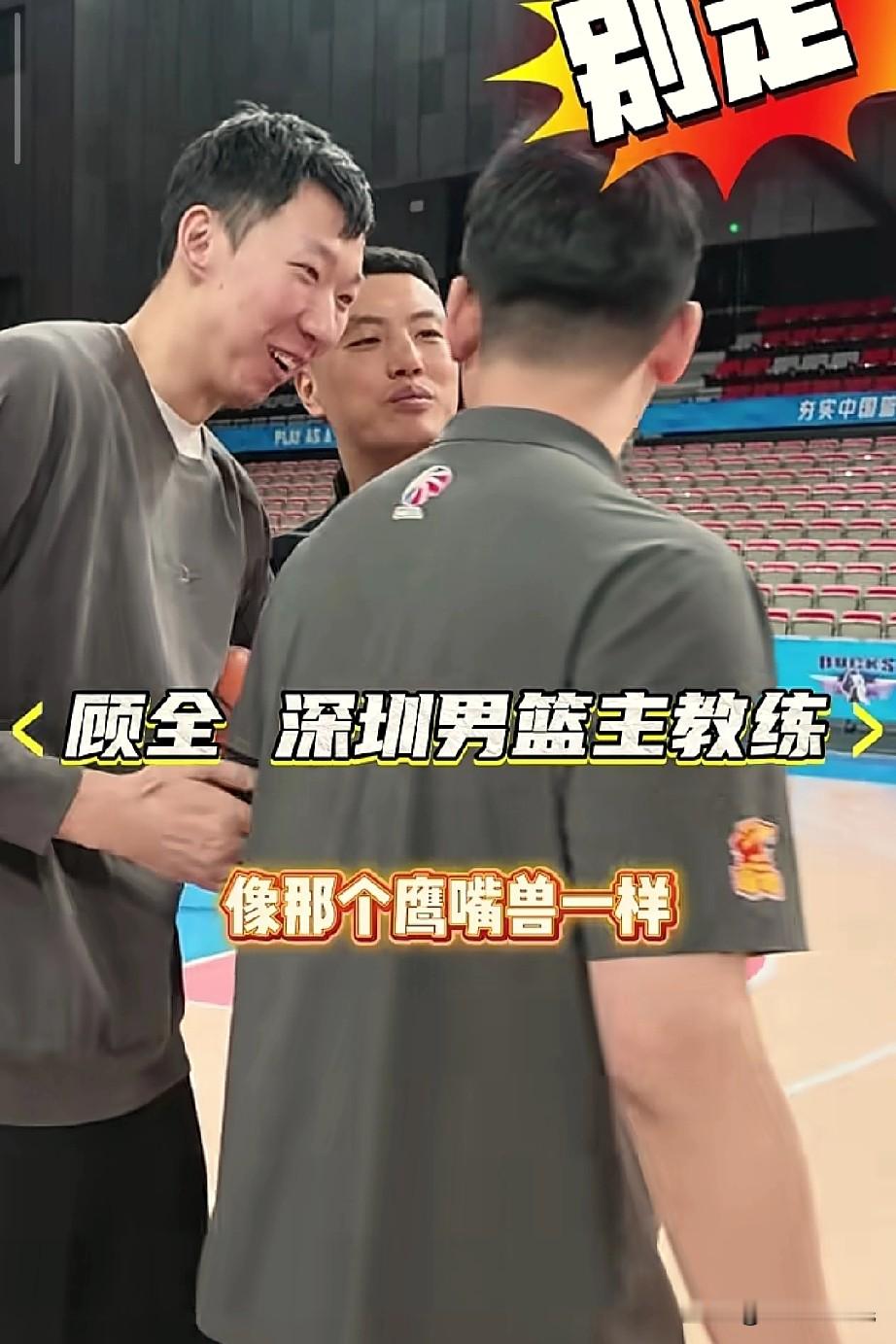 周琦能不能“尊重”一下咱们的顾指导，直接搂脖了！

北京对阵深圳赛前，周琦、翟晓川和赵睿前来看望新鲜的顾指导，这是摸肚子，又是搂脖的，这完全没把顾指导放在眼里啊。

顾指导表示这是他们帮忙给我解压吧，都知道教练压力比较大。

目前，深圳队1胜1负，北京2胜0负，今晚拭目以待。