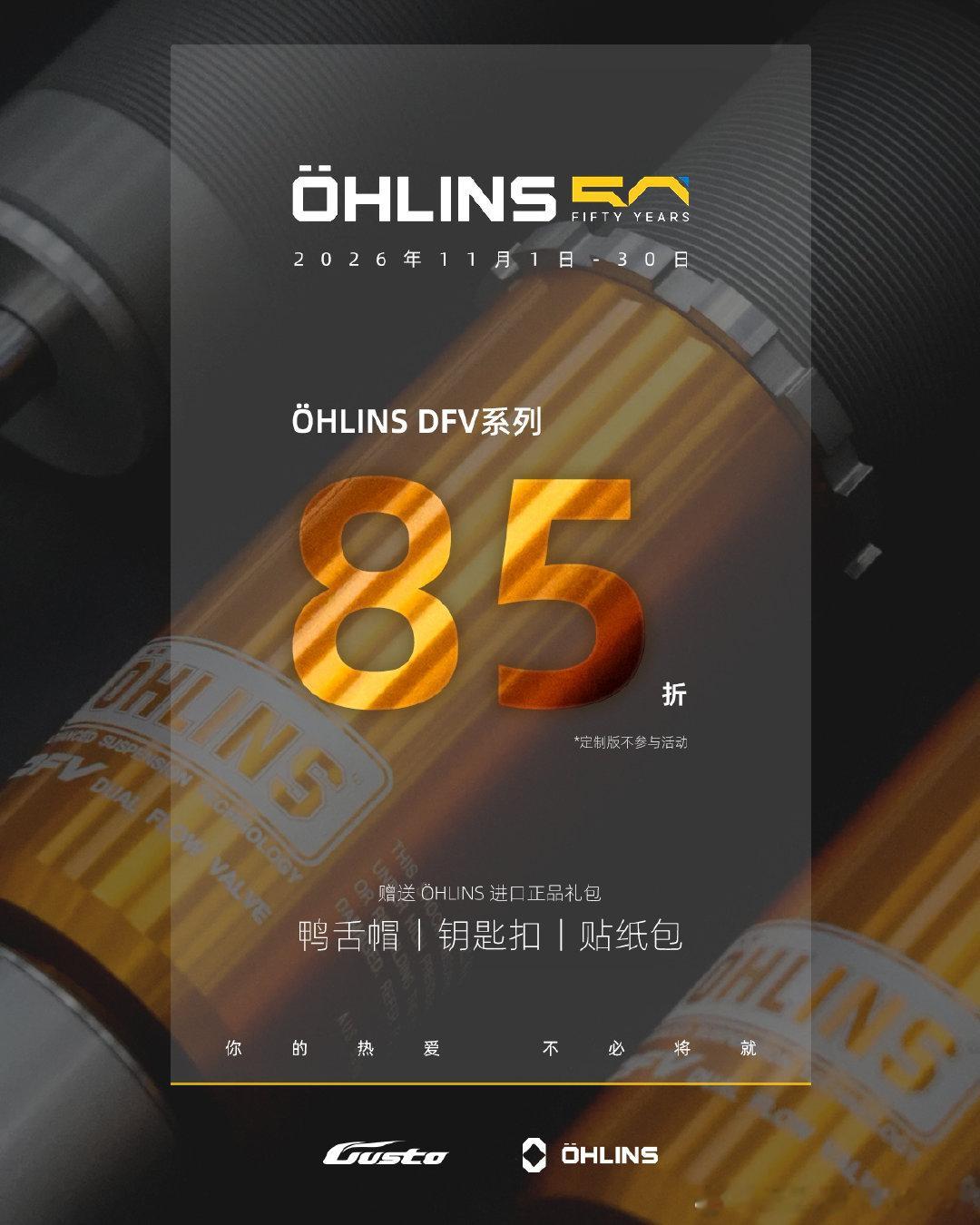 双11 瑞典Ohlins DFV避震 8.5折 活动已开启🔛  ​