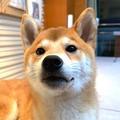 昌茂漫说科技