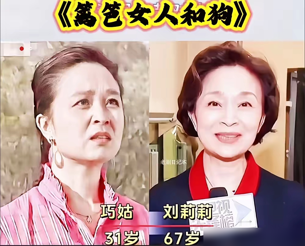 34年前的老剧，现在吊打一堆流量农村剧！
1989年播出的《篱笆·女人和狗》，豆瓣至今稳在7.6分，是经典农村三部曲的开篇之作。
没有磨皮滤镜，没有悬浮人设，葛茂源、枣花、巧姑个个鲜活，把转型期农村人的挣扎、女性对命运的抗争拍得入骨三分。
连编剧都承认，这种扎根生活的作品，后续农村剧很难再复制