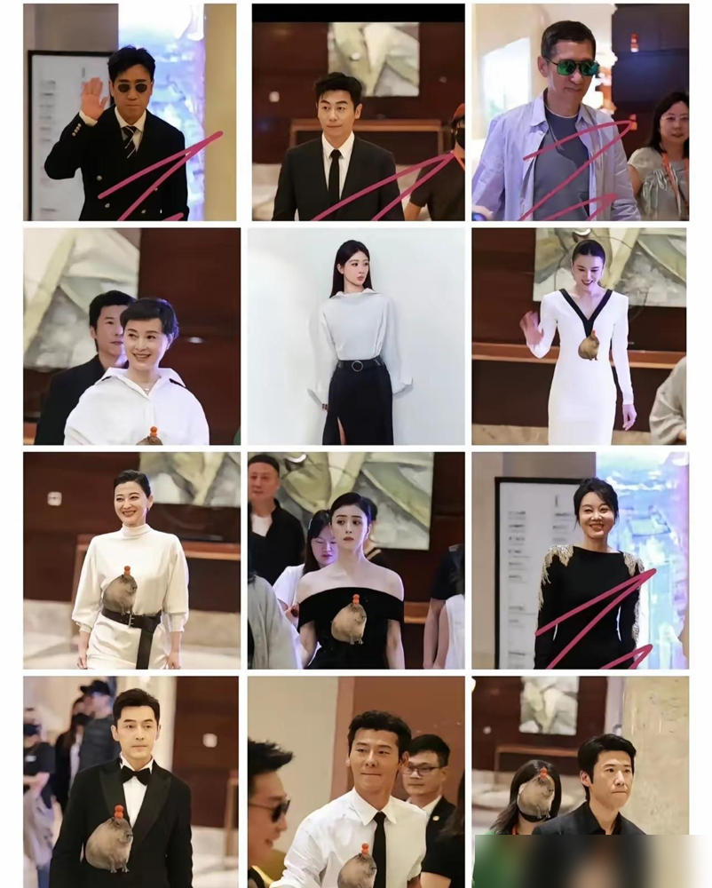 金鹰奖把红毯砍了，嘉宾全穿成了黑白照。
何炅念提名时，镜头扫过去，底下坐一片，跟参加什么严肃会议似的。
往年那红毯，明星恨不得把高定焊身上，通稿比奖项还多。今年倒好，没地儿斗艳了，女演员连口红都不敢涂太红。
有人吐槽，这仪式感全没了，看着冷清。可你细想，颁奖礼的重点本来是什么？是那身衣服，还是