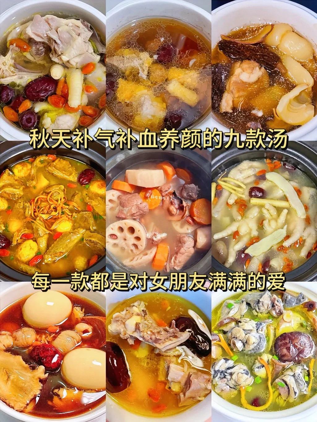 秋天补气补血养颜的九款汤