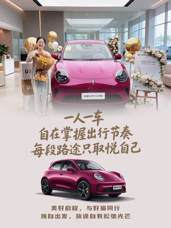 美好启程，与好猫同行