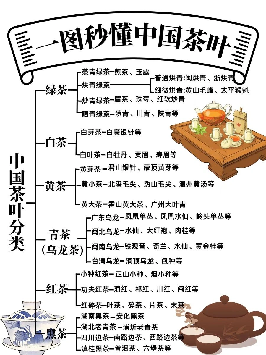 一图秒懂中国茶叶📚 | 入门指南&茶叶类型