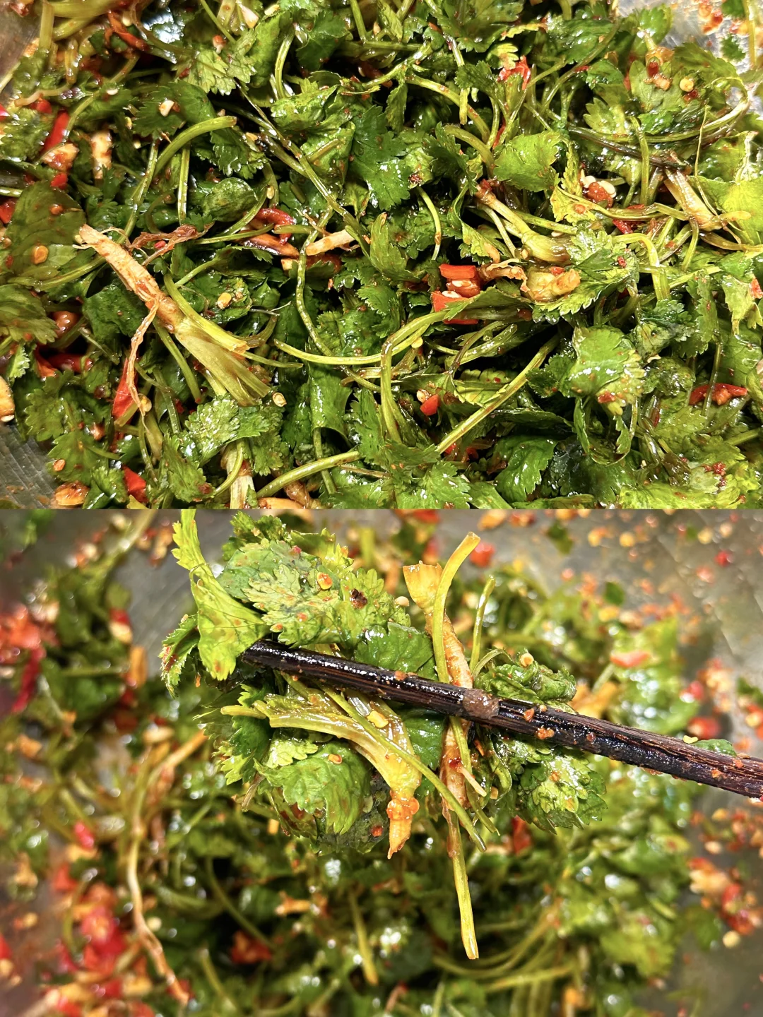 吃不腻的老式凉拌香菜 爱吃香菜的一定要做