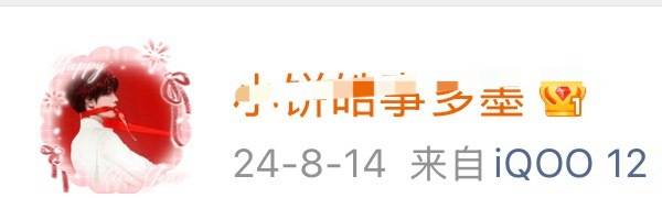 别拿你的iqoo12给我发消息了行不，我怕你手坤炸了赖我啊