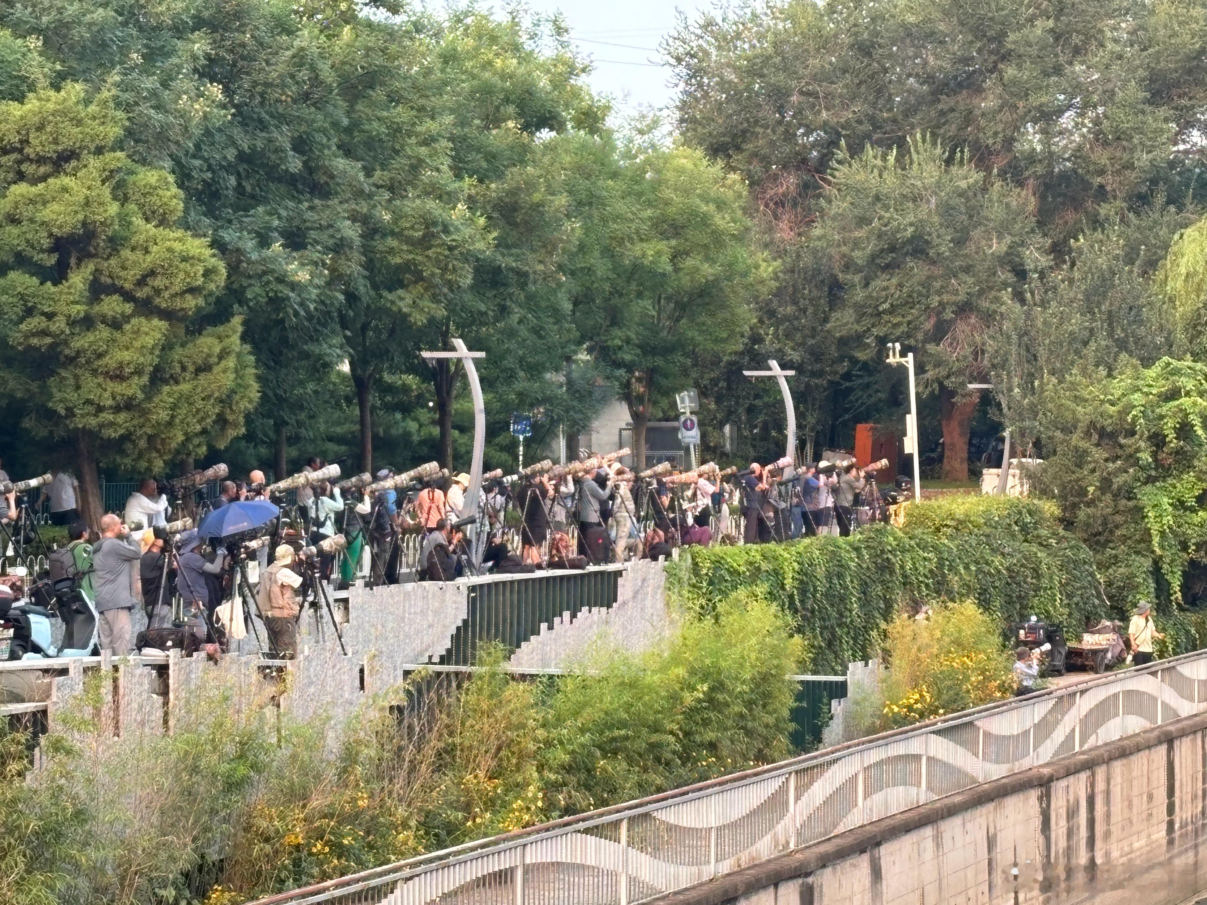晨起到河边跑步🏃‍♀️，只见一排子长枪短炮摆开了阵式，我问人家是拍什...