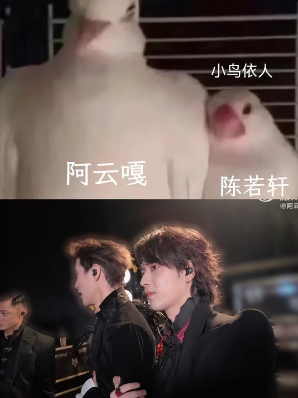 是十年的好友也是我可以依赖的队友