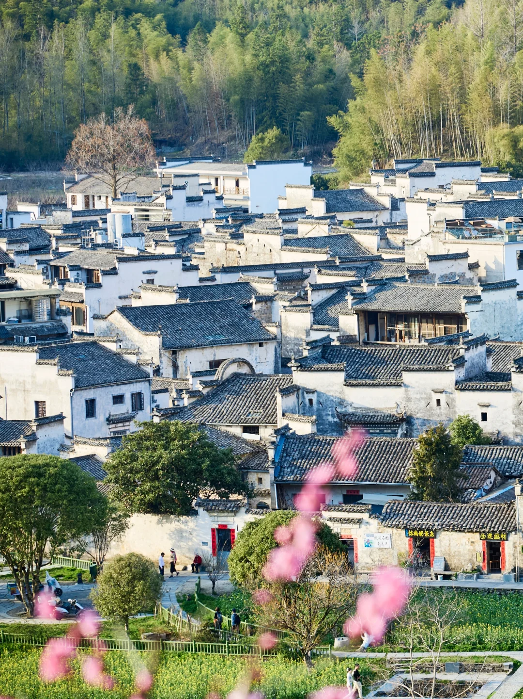 上春山｜黟县自驾：湖居古村与竹海秘境