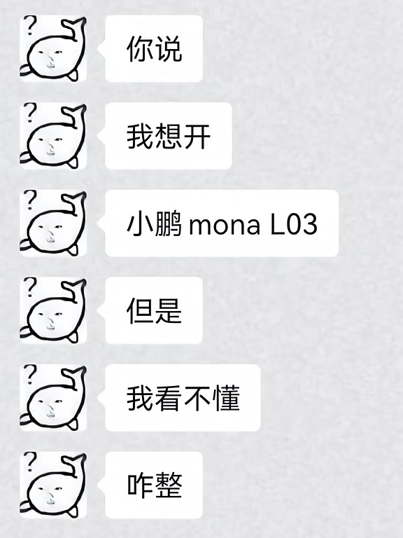 谁来教教我小鹏MONA L03到底怎么开啊！