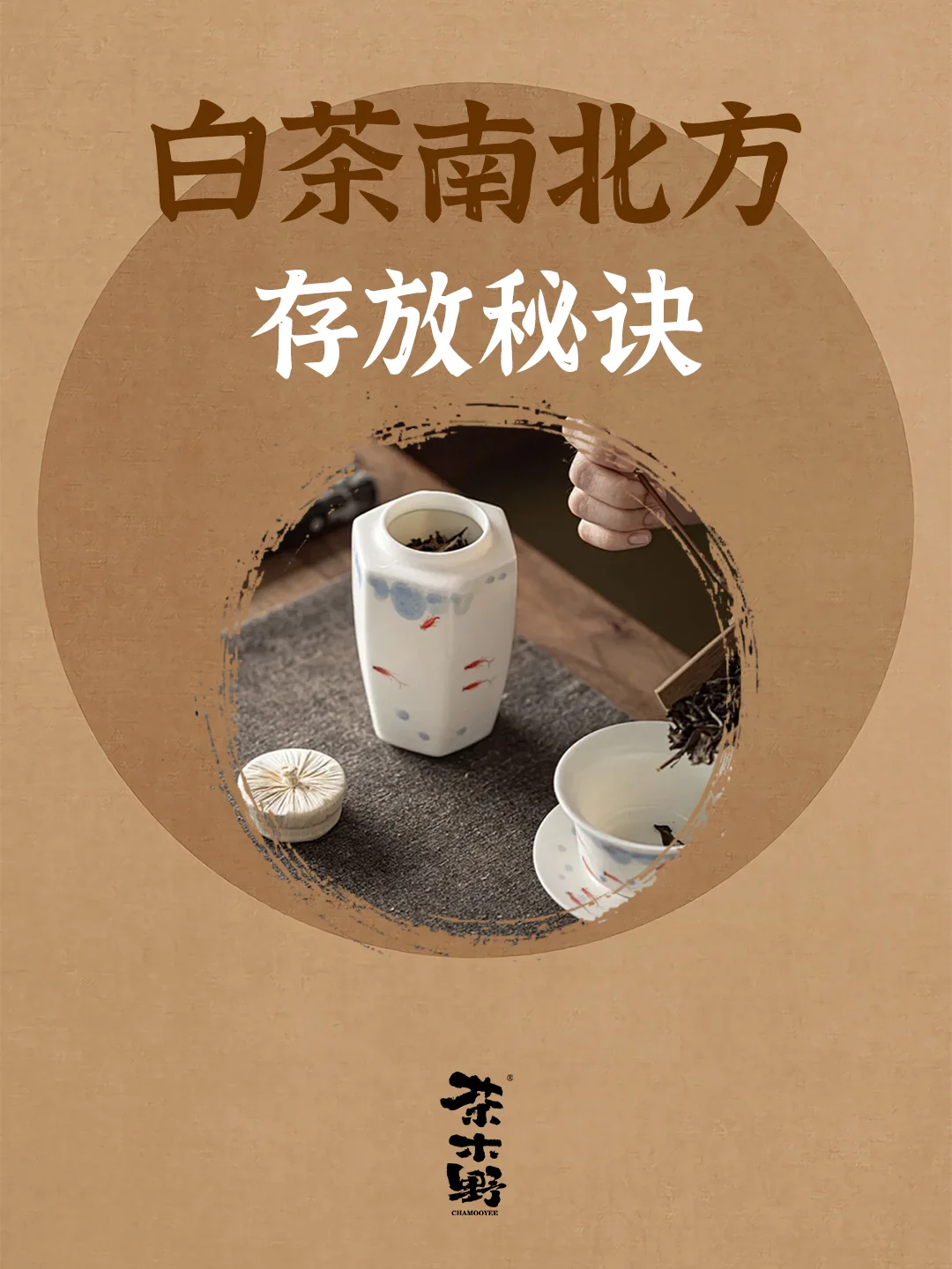 知识分享丨一分钟了解南北方如何存茶