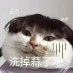 上辈子作恶多端这辈子玩王者荣耀巅峰赛，谁懂一局四个都聚宝成功的含金量 ​