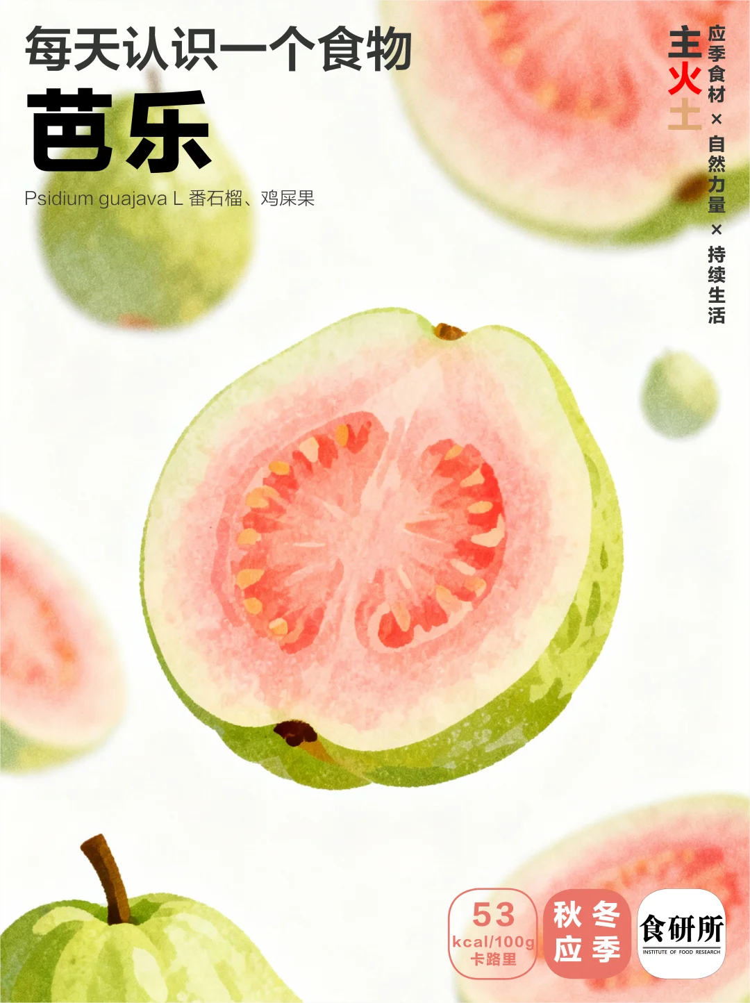 芭乐 | 白的更甜？