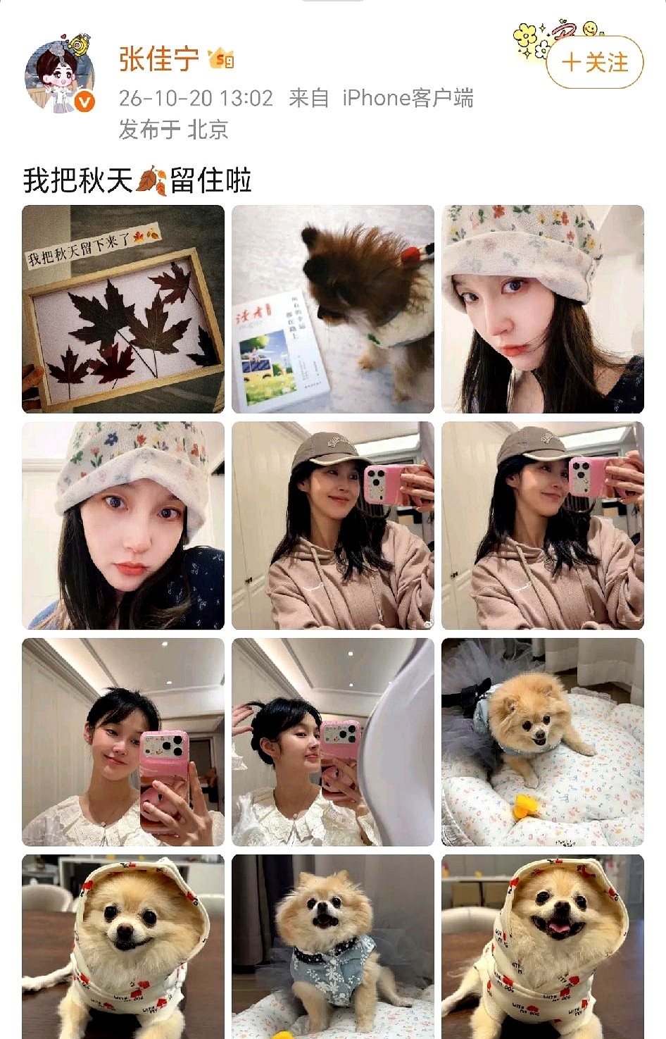 不拍戏的张佳宁，把秋天过成了很多人羡慕的样子。

10月20日她在社交平台上晒出一组生活照，直接写道：“我把秋天留住啦…”

照片里没有大牌高定和精致妆容，就是穿着一身宽松睡衣对着镜头做搞怪表情。最吸睛的还是她自己用落叶拼出来的叶子画，连家里的宠物都被她精心打扮了一番。

在大家都忙着卷红毯、争番位
