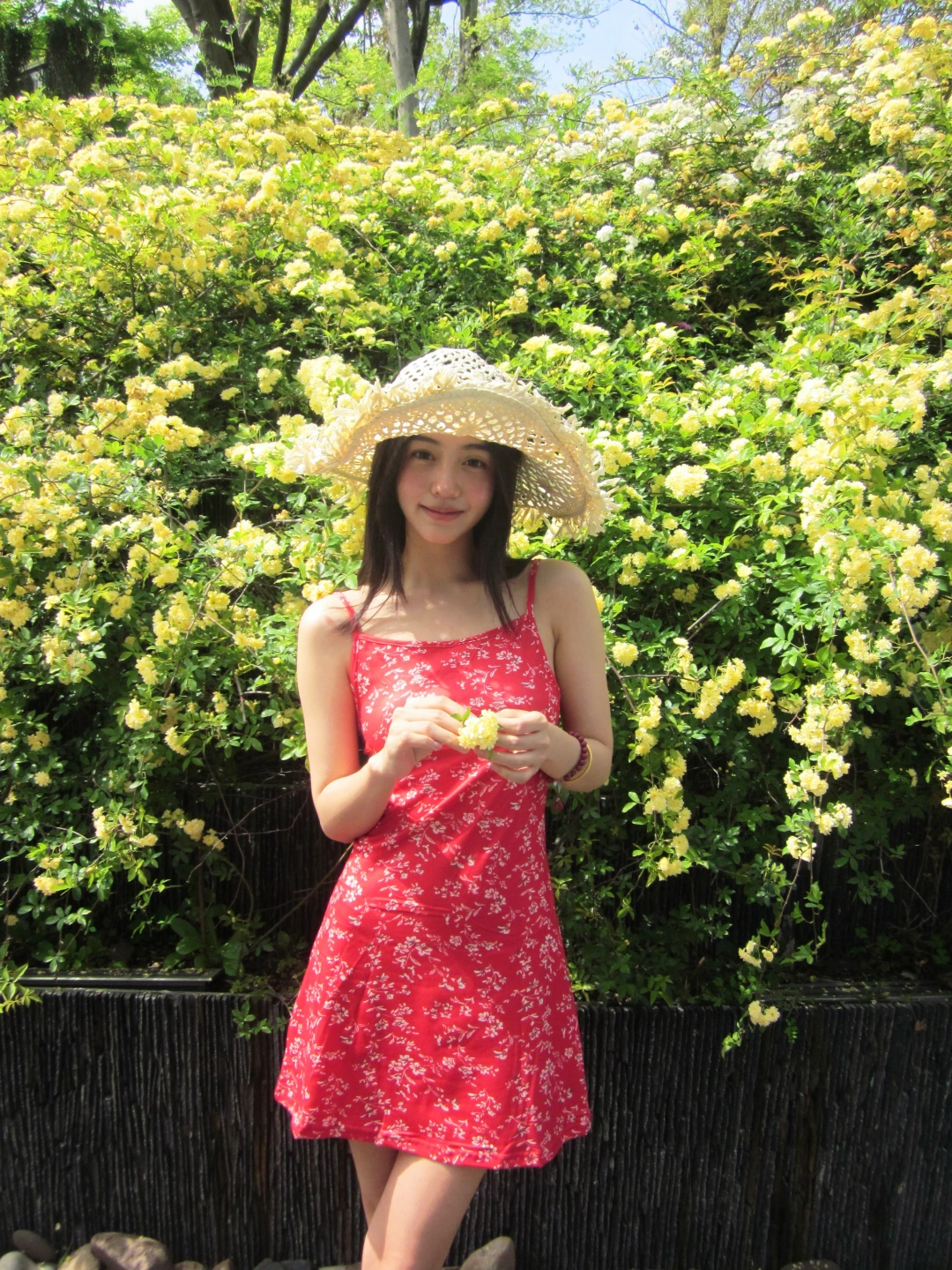 存一些很有“文艺感”的拍花姿势🌼