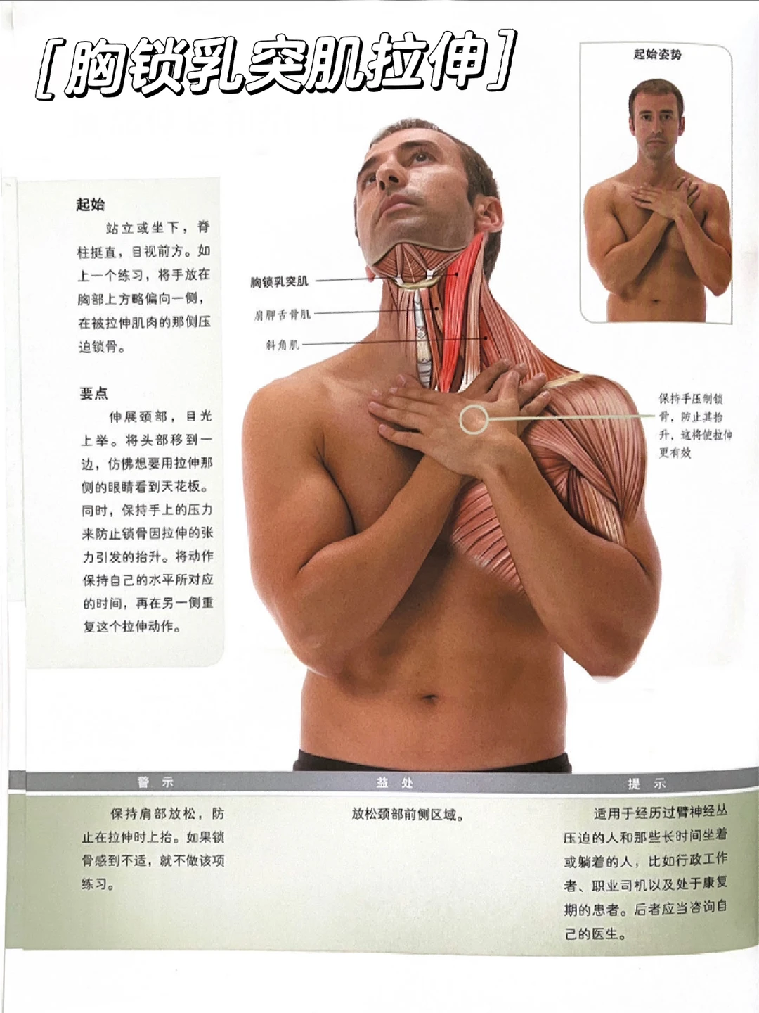 脖子不舒服快用这个拉伸🔥