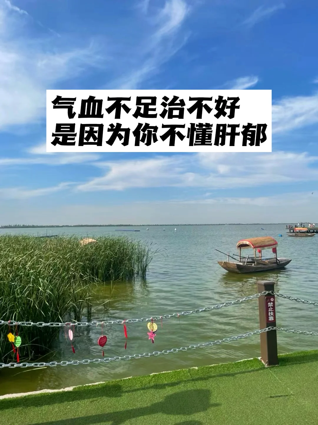 气血不足治不好，是因为你不懂肝郁.