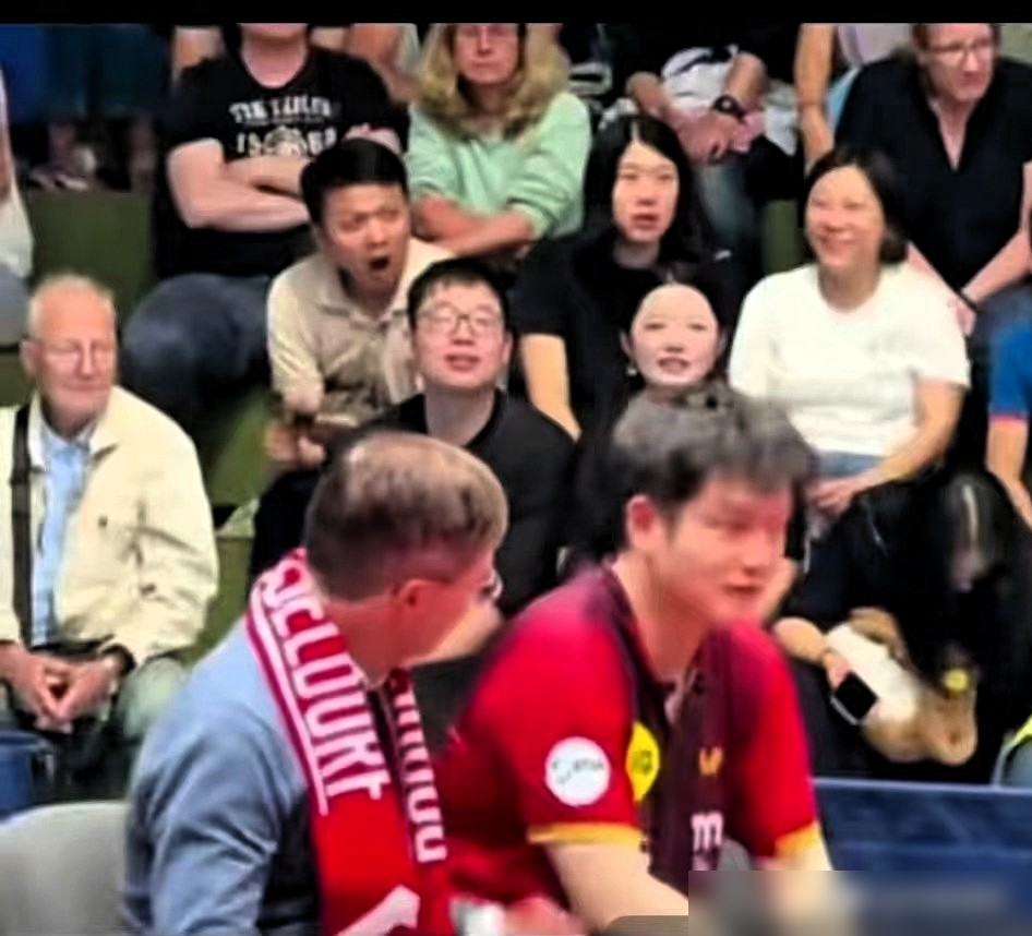 德国俱乐部经理举着大喇叭，用蹩脚中文带着全场高喊樊振东加油，视频刚发出来评论就笑炸了。
这是德甲第六轮，杜塞尔多夫主场打多特蒙德。樊振东打一单，3比0拿下格拉尔多，第四盘又3比1干翻维东斯霍特，一人砍两分，球队3比1豪取六连胜。俱乐部经理赛前亲自上阵教学，领着拉拉队一个字一个字抠中文发音，就为了让
