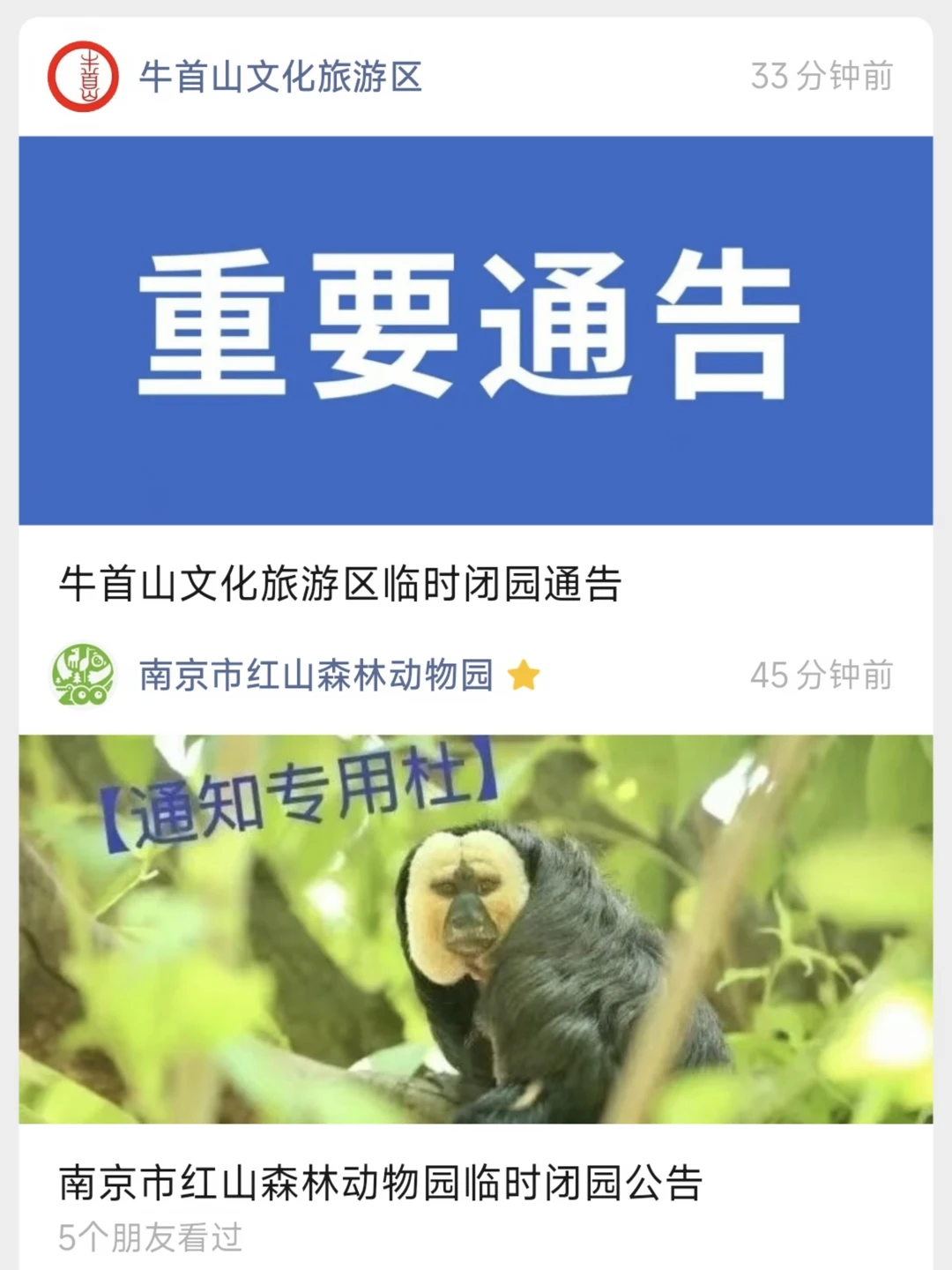 南京热门景区通通关闭！7.11-7.14大台风！