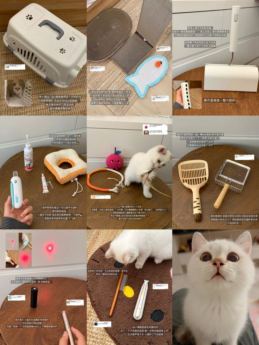 🐾🐈新手养猫必备好物🔗（超平价版！