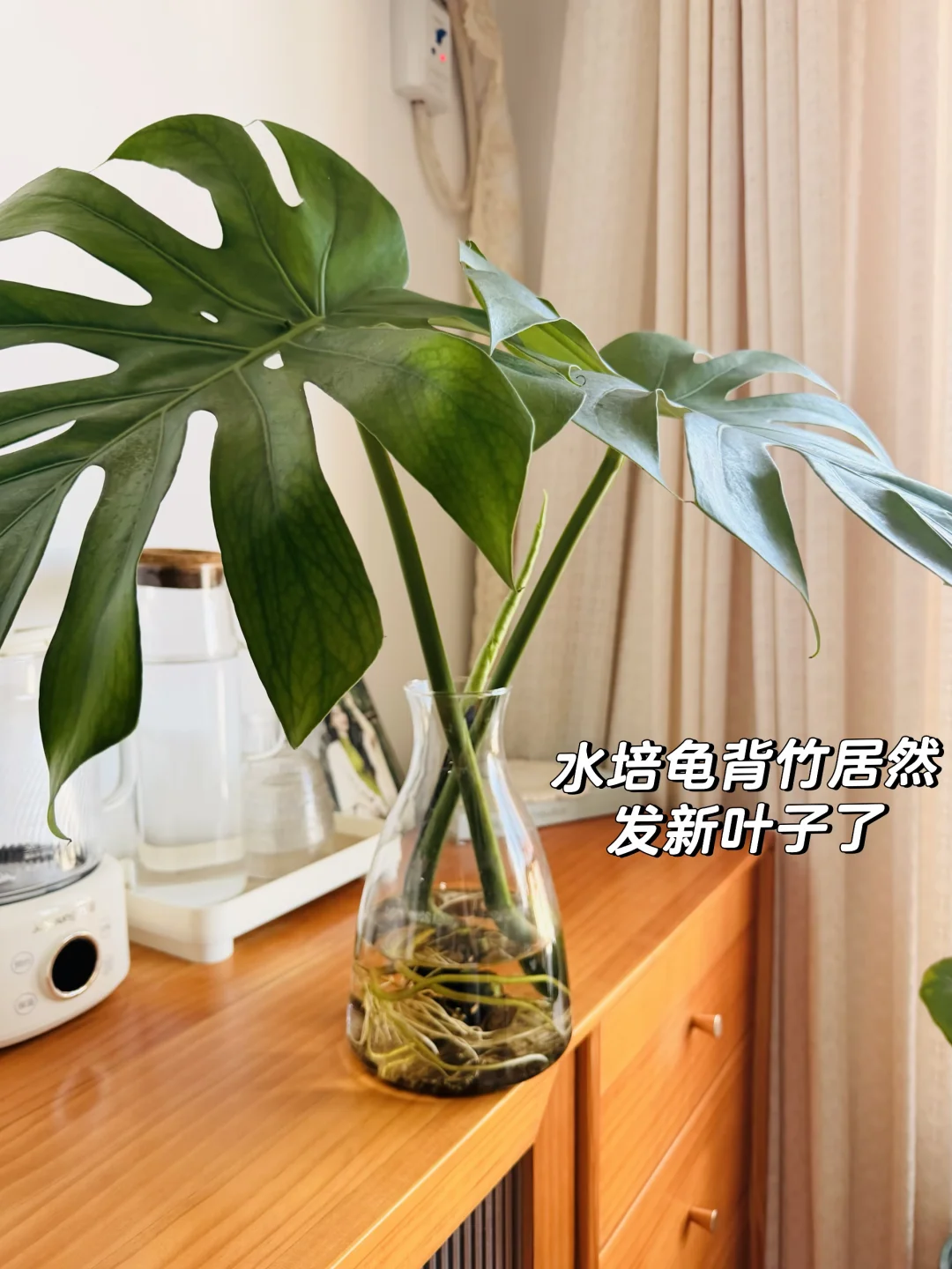听说发小姐妹都懂这个心情