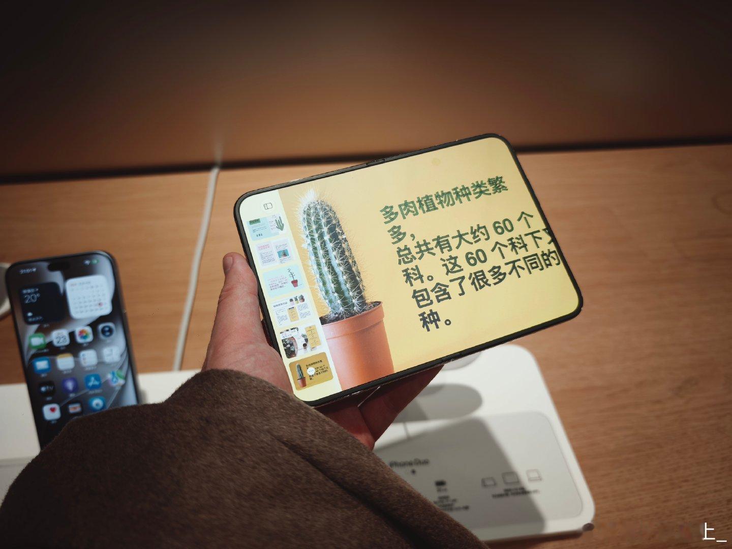 不知道是不是怕别人一个个下APP看适配
iPhone duo展示机现在的AppStore直接不能获取第三方应用[捂嘴哭] ​