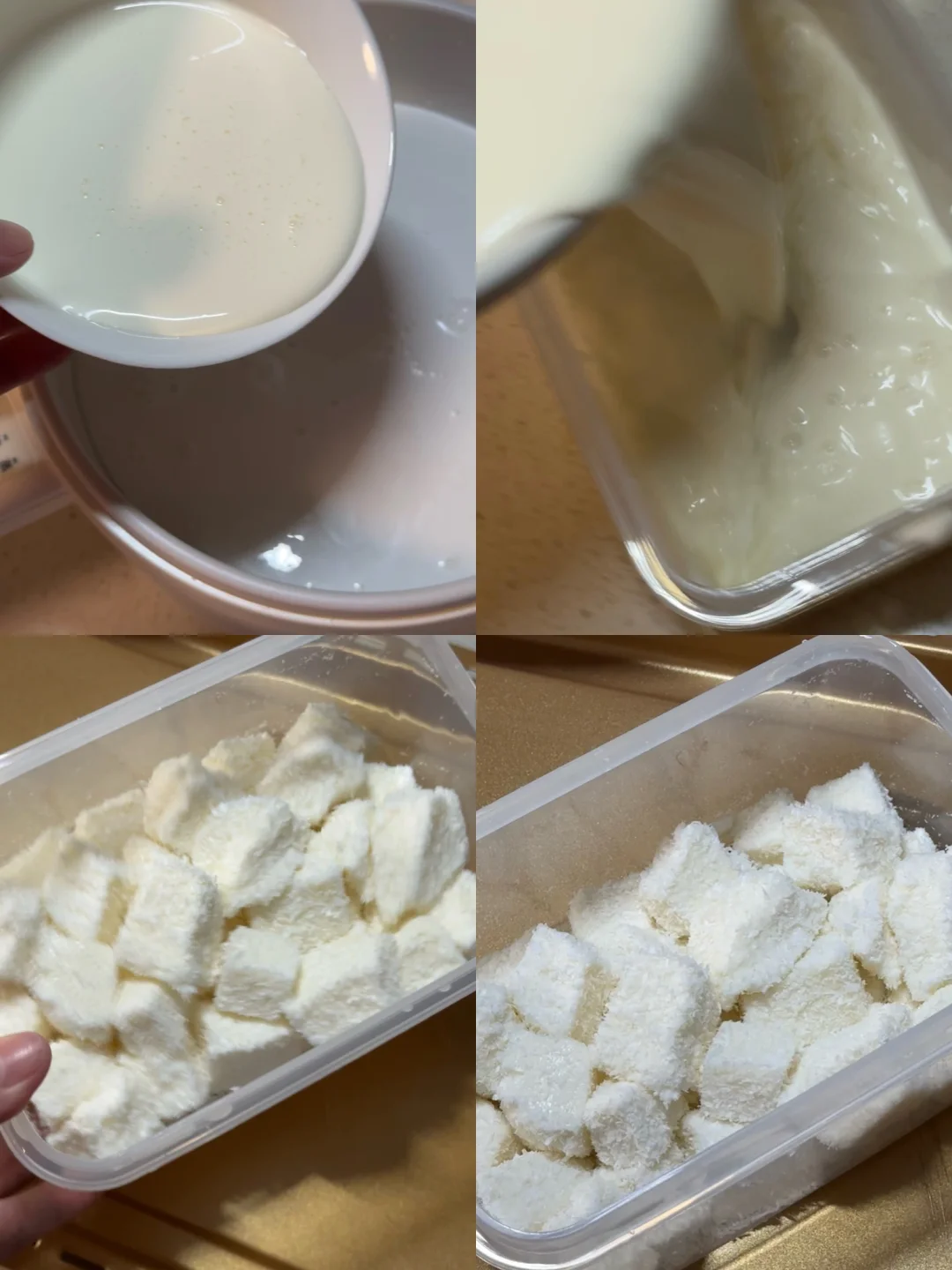 吃一百次都不会腻的奶香椰子冻🌷