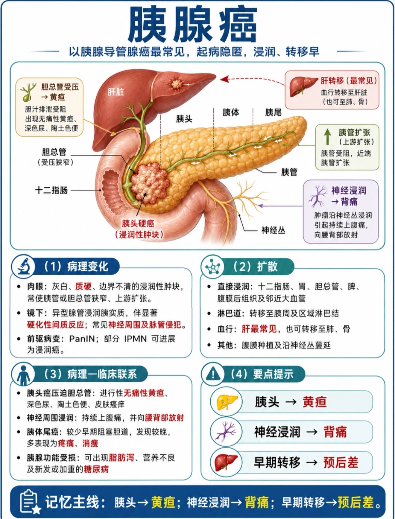 为什么饥一顿饱一顿，会提升胰腺癌发病风险？

很多人三餐不规律，经常饥一顿饱一顿，只觉得伤胃，却不知道这种饮食习惯，会持续加重胰腺负担，慢慢升高胰腺癌的患病风险。

胰腺负责分泌消化酶，进食节奏稳定时，它可以规律工作。可长时间空腹后突然暴饮暴食，胰腺会被迫短时间大量分泌消化液，反复刺 ​