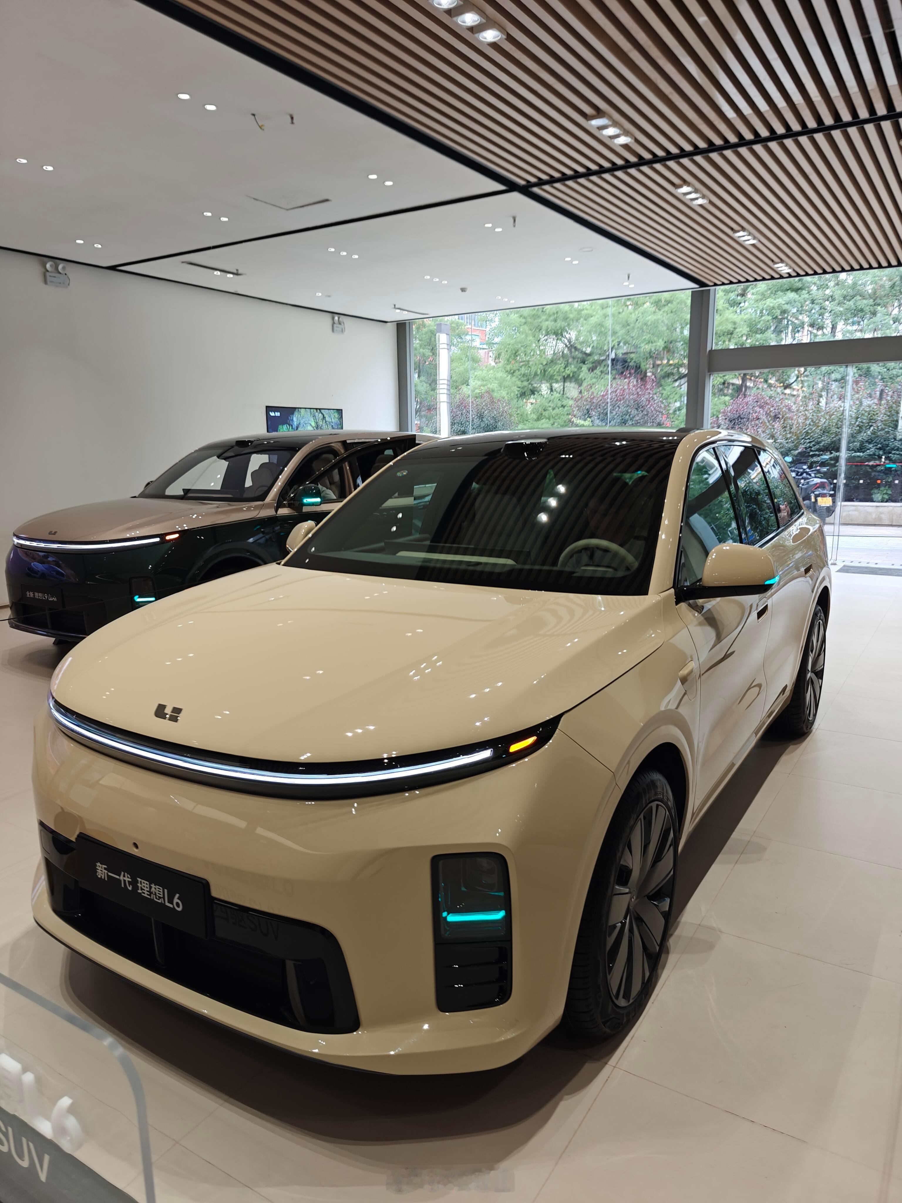 🚘理想L6

✅优点
🔋续航与补能很强，无里程焦虑
搭载 51kWh 电池，CLTC 纯电续航 300km，日常通勤完全纯电开；综合续航 1250km，长途加油就能走，没有纯电的里程顾虑。4.9C 快充，20%-80% 仅需 12 分钟，高速补能效率高理想汽车。
🔖全系标配双电机四驱，动力足
全系双电机四驱，总功率 300kW， ​