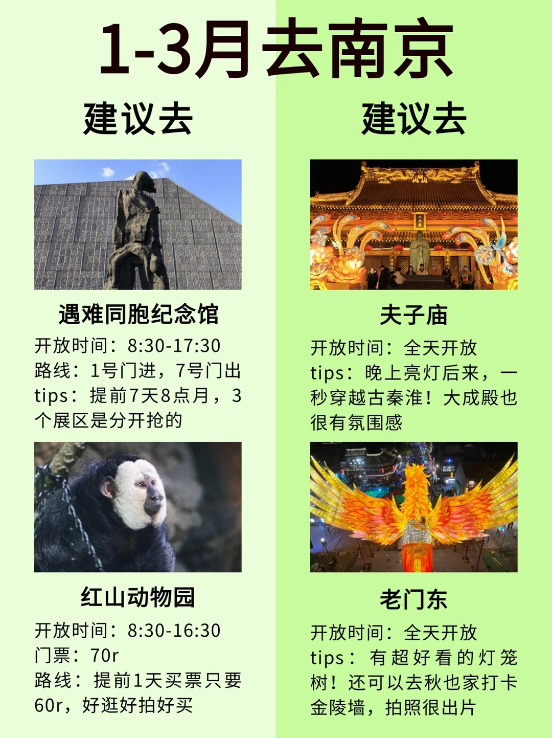 1-3月南京攻略｜这些地方闭眼冲！附玩法