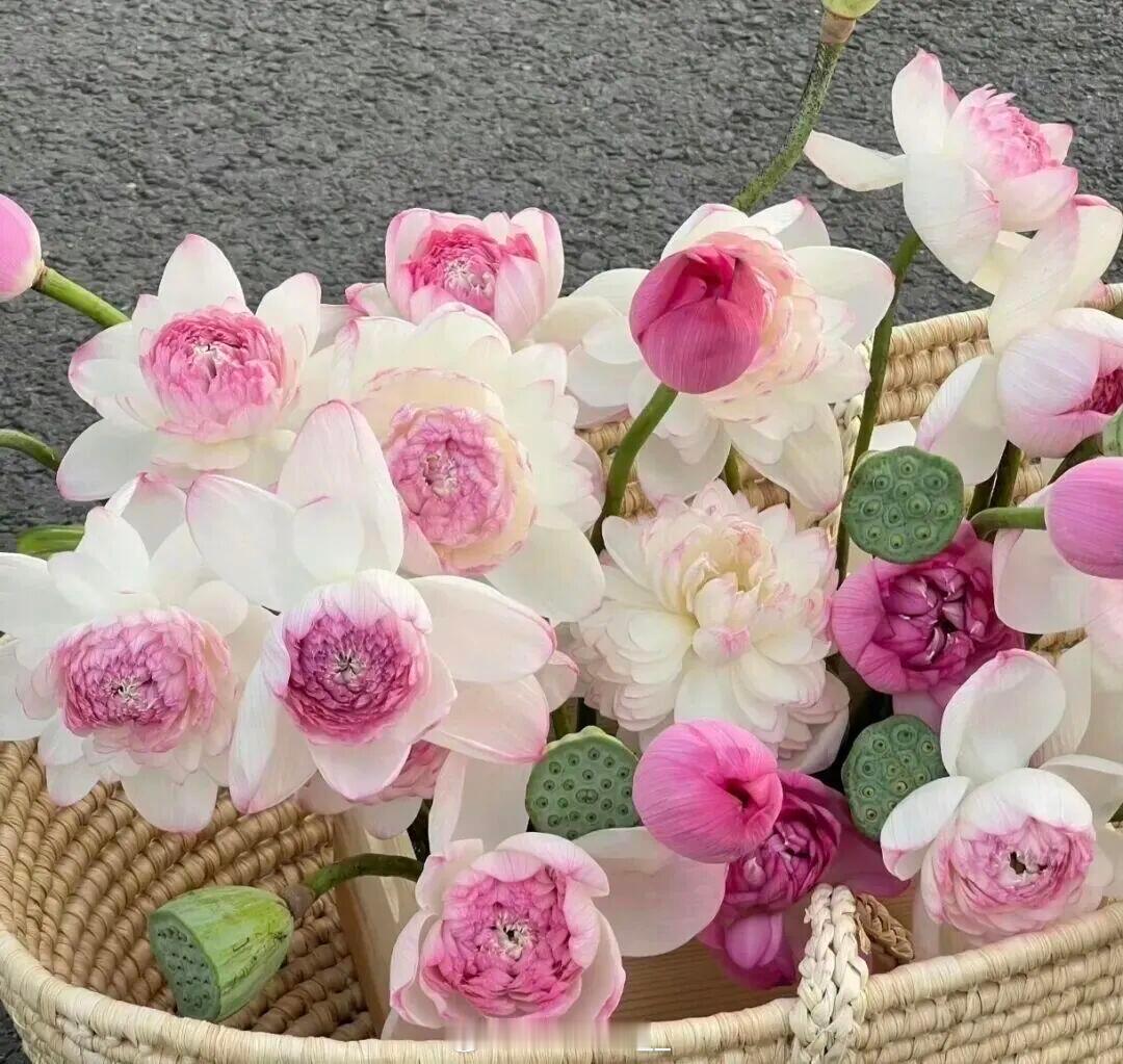𝙒𝙚𝘾𝙝𝙖𝙩背景图  𝙞𝙣𝙨风 背景图推荐｜𝘚𝘩𝘢𝘳𝘦 手机壁纸 ｜ 风景壁纸 ｜ 城市街景 ｜ 深色壁纸 ｜ 高清无水印壁纸 ｜ ins风 ｜ 聊天背景 ｜ iphone17手机壁纸 ｜ 全面屏手机壁纸 ｜ 大自然绿色系 ｜ 远山风景 ｜ 夕阳天空 蓝色系

杨幂 刘诗诗 唐嫣 赵丽颖 赵今麦 ​