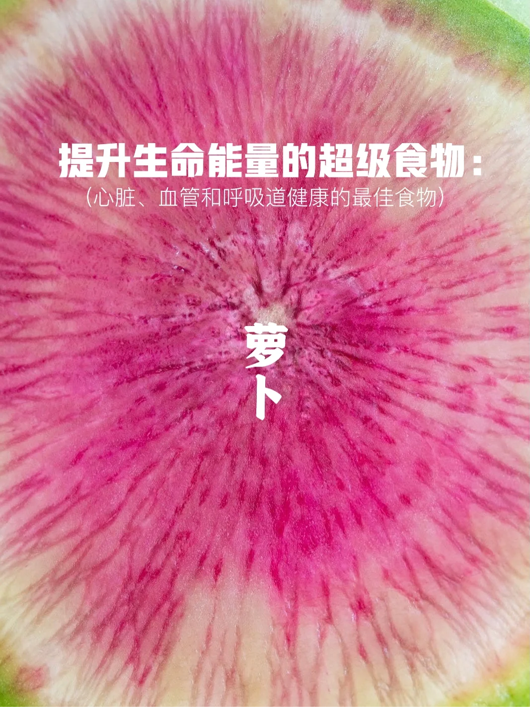 宇宙疗愈食物之：萝卜