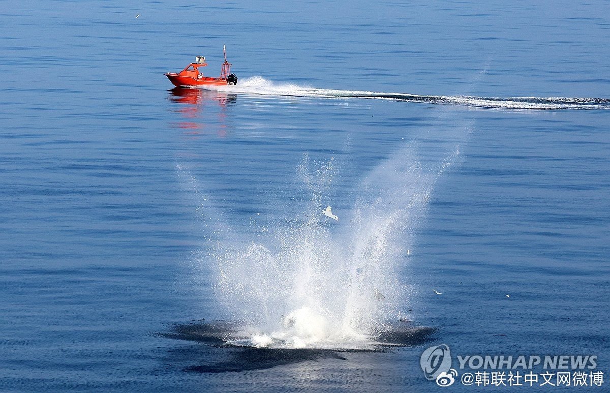 【韩国产自杀式无人机海上测试失败 两次放飞均坠海】#韩国时局# 韩国海军首次开展国产自杀式无人机海上作战试验，两次放飞均以无人机坠海告终，试验未能顺利推进。 ​