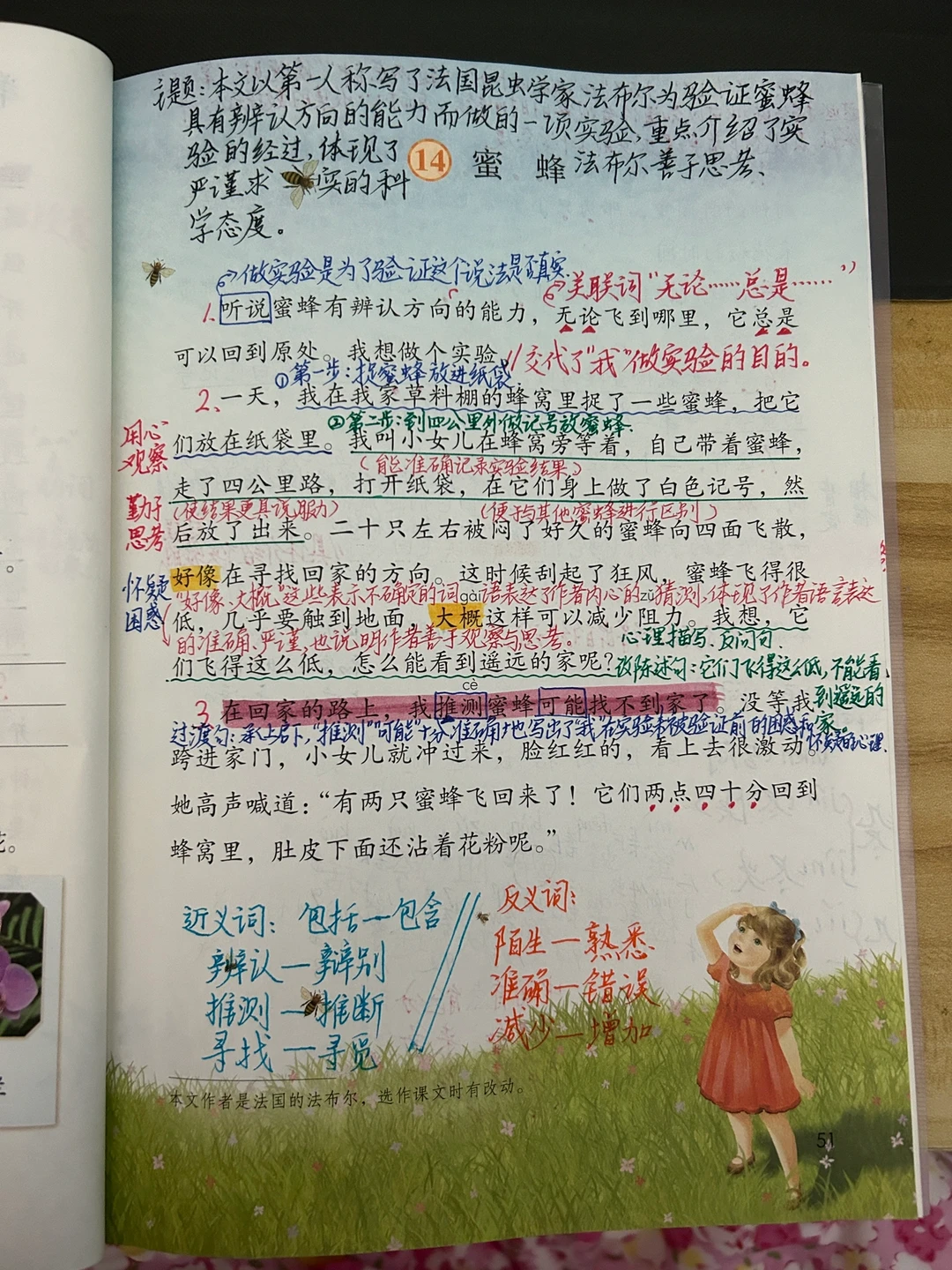 三下语文备课14.《蜜蜂》